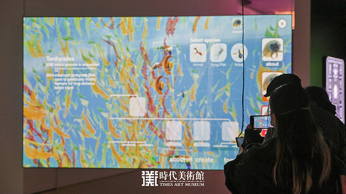 《编码物候》：以科学艺术解读数字与生物交织的宇宙节律