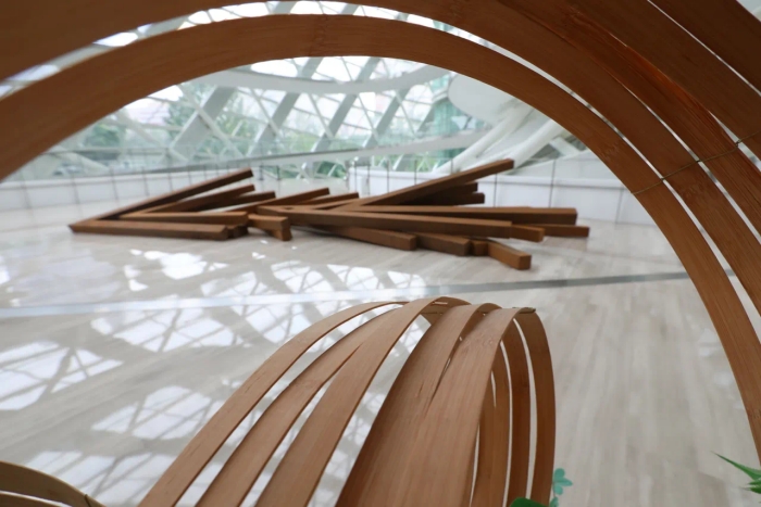 贝纳·维内大型回顾展“超越观念与物质”北京凤凰中心举行