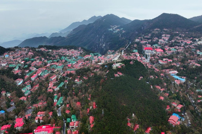 秋日庐山 色彩缤纷：35位油画名家情绘九江“山江湖城”