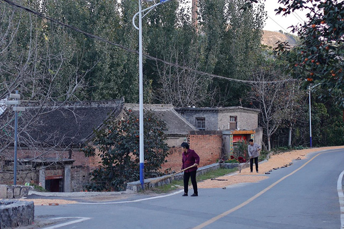 “南坡秋兴2024：韧”即将亮相大南坡