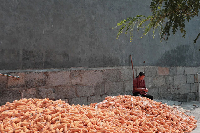 “南坡秋兴2024：韧”即将亮相大南坡