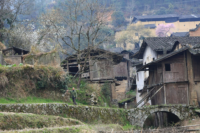 世间本无隐逸之路，只有生活——程美信专访