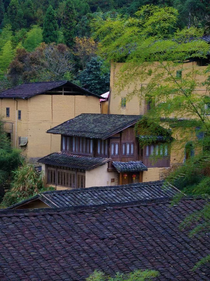 世间本无隐逸之路，只有生活——程美信专访