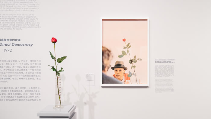 与博伊斯的跨时空对话：新绎美术馆《约瑟夫•博伊斯：7000个梦想》正式开幕