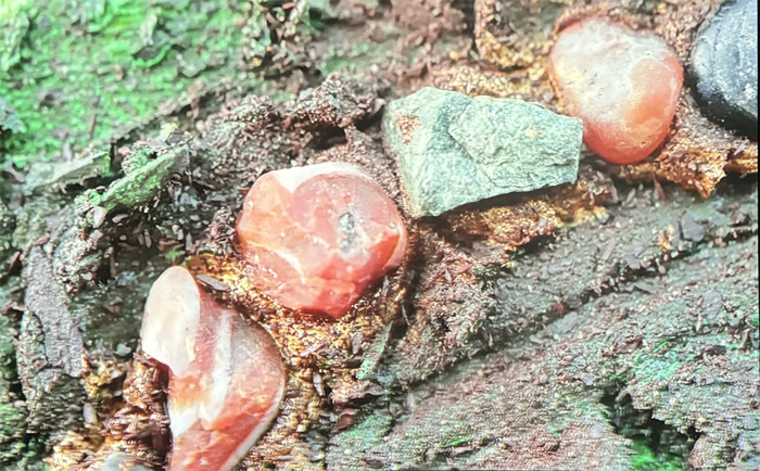 刘商英个展《绘画与游荡》：荒野与绘画的对话