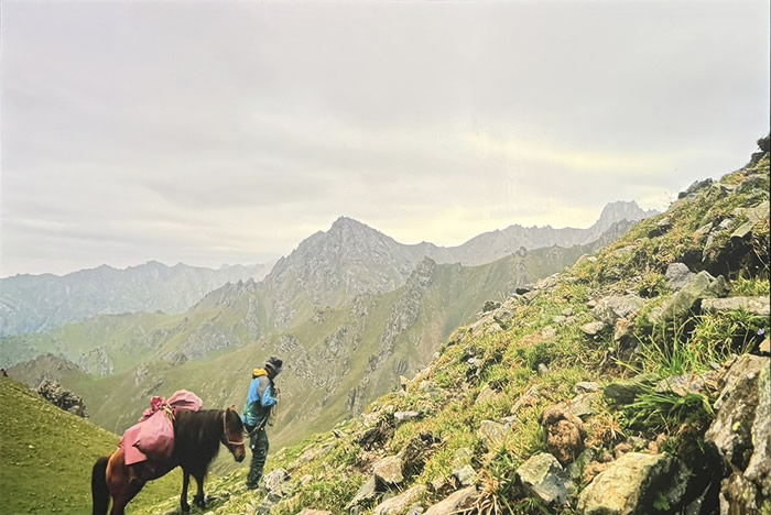 刘商英个展《绘画与游荡》：荒野与绘画的对话