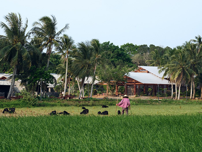 叶曼专访：致力在海南那雅村打造融合传统与现代的“创造力社区”