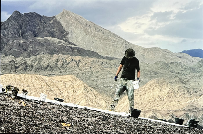 刘商英个展《绘画与游荡》：荒野与绘画的对话