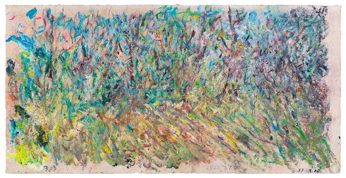 李玉双：走向源头，绚烂之极