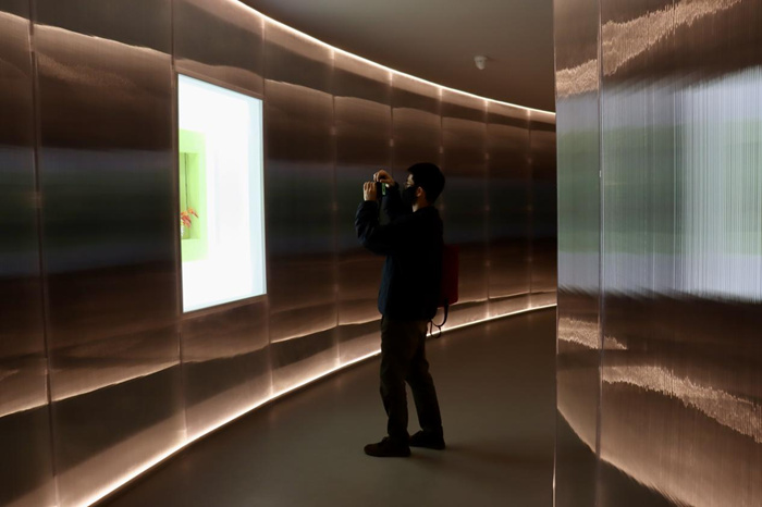 跨越边界的生命实验：安妮卡·易中国首展