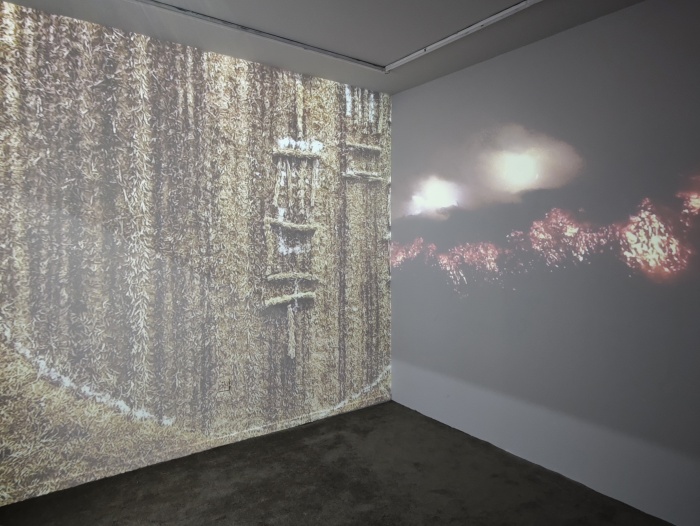 刘旭光：回到《易经》，爬上山顶