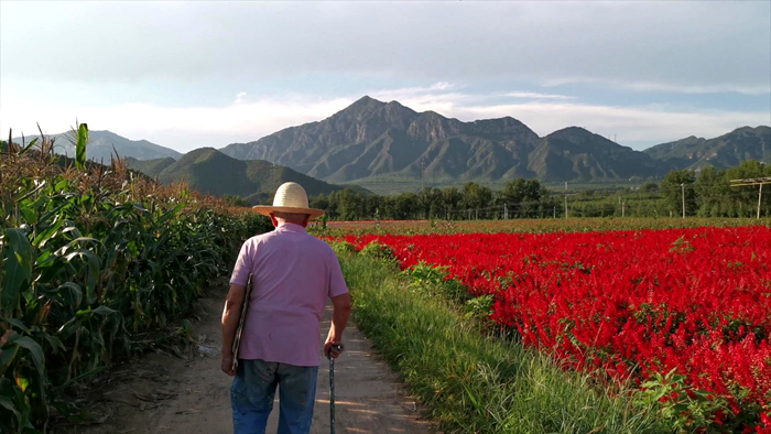 李玉双：走向源头，绚烂之极