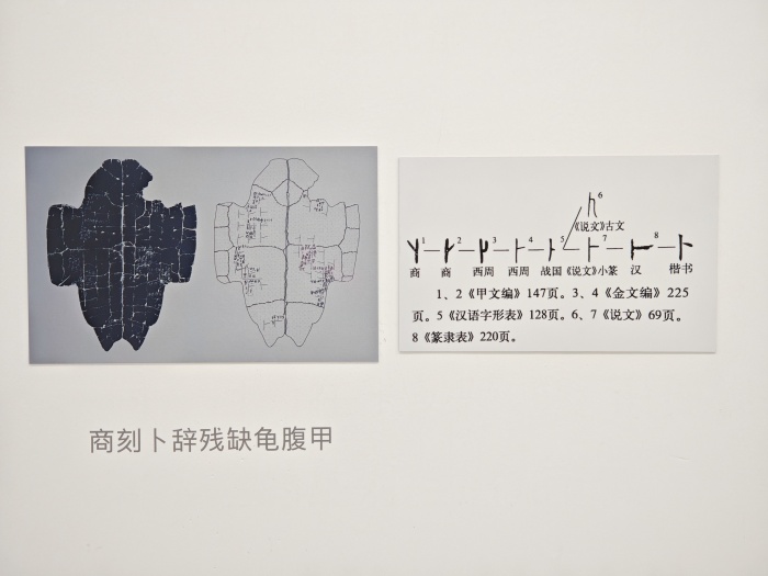 刘旭光：回到《易经》，爬上山顶