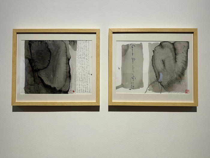 28组海外华人艺术家，呈现一场关于“身份”的沉浸式体验