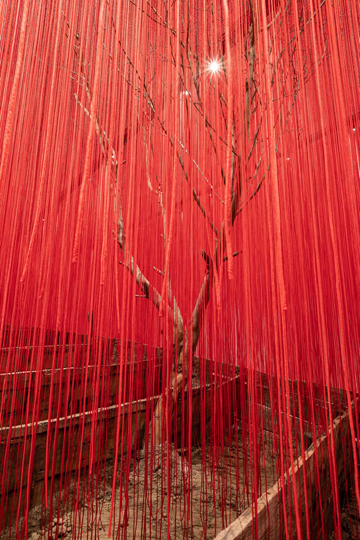 盐田千春"静寂之空"：在地性创作重构东方空性哲思