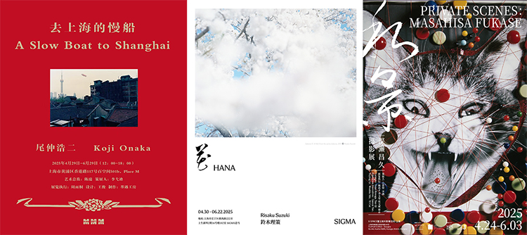 “用影像发声的时代”——2025上海国际当代影像节即将开幕