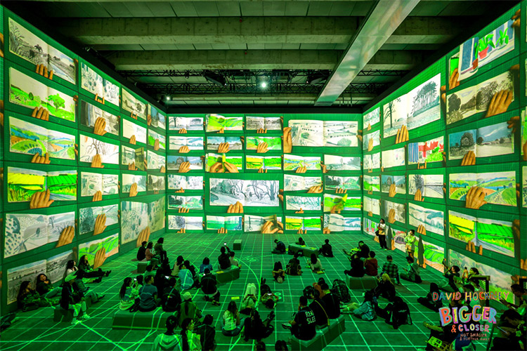 更大，更近：大卫·霍克尼最大规模沉浸式艺术展登陆上海