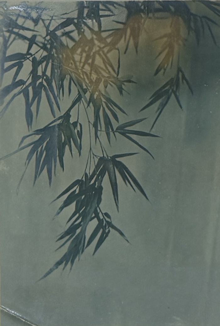 静物之必要：中国现当代艺术家眼中的生活与生命