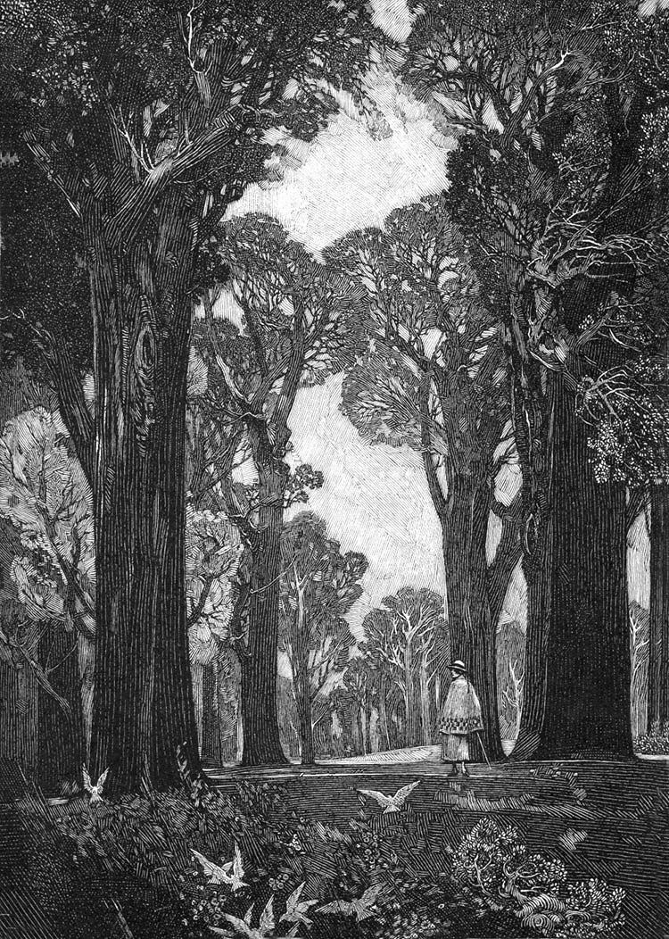 用钢笔画版画的人