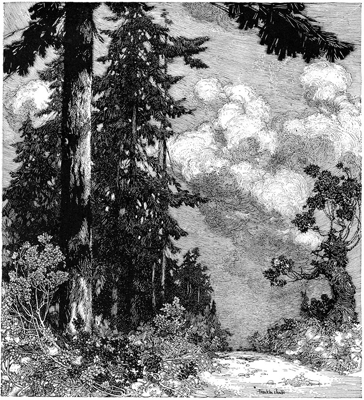 用钢笔画版画的人