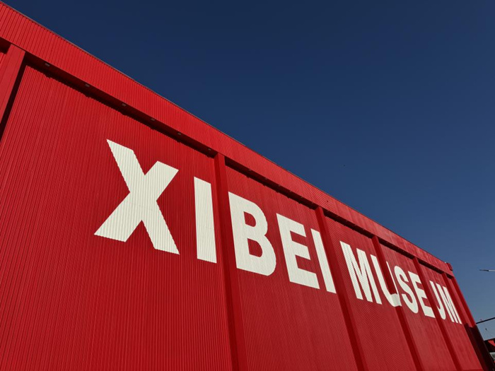 “全球最大集装箱”内，用“涂抹”观照真实——孟柏伸专访