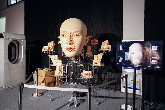 美院毕业展，为何如此“火”？