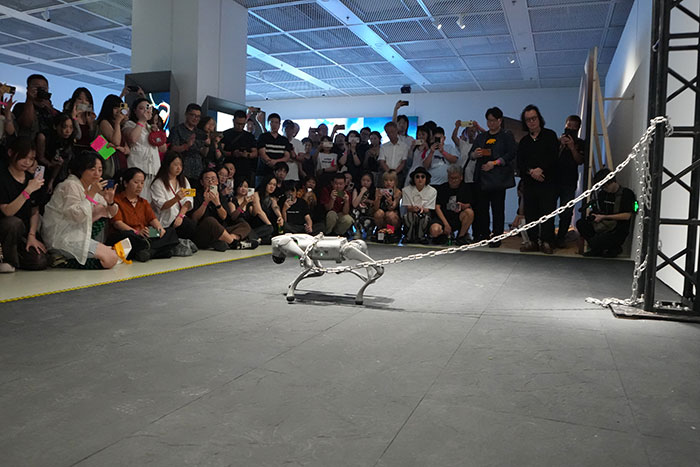 一展速览当下AI艺术的多元实践图谱——上海民生现代美术馆推出“国际人工智能艺术文献展”