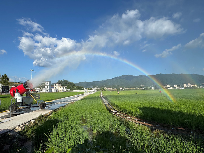 万物自得，艺术生长：走进广东蕉岭大地艺术季
