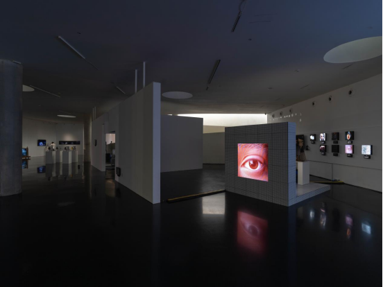 “带电的孩子”：当算法成为我们的“幻肢”