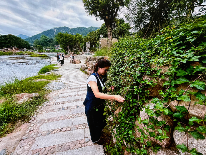 因地制宜，师法自然——陈文令详解“金谷溪岸”艺术公园的生长之路