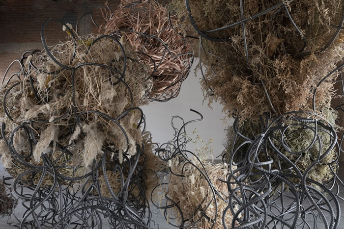 UCCA发布2026年度展览计划 七大看点不容错过