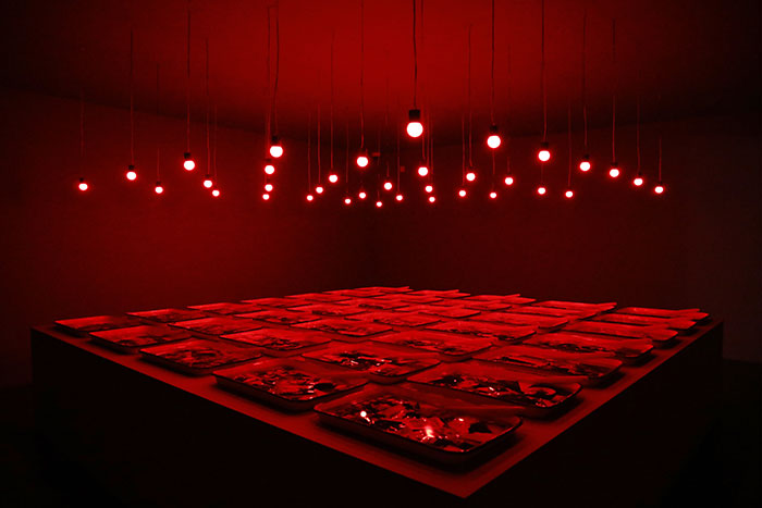 卢迎华：中间美术馆的可持续运营之道