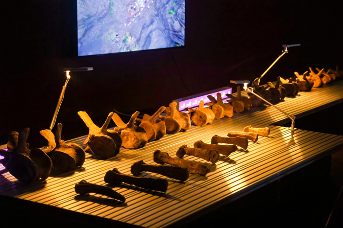 天地人机——中国（杭州）艺术与科技国际双年展举行